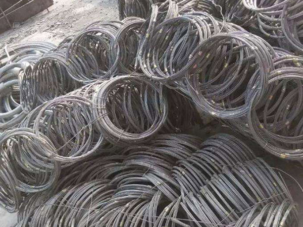 草莓视频黄色视频免费在线观看图片2